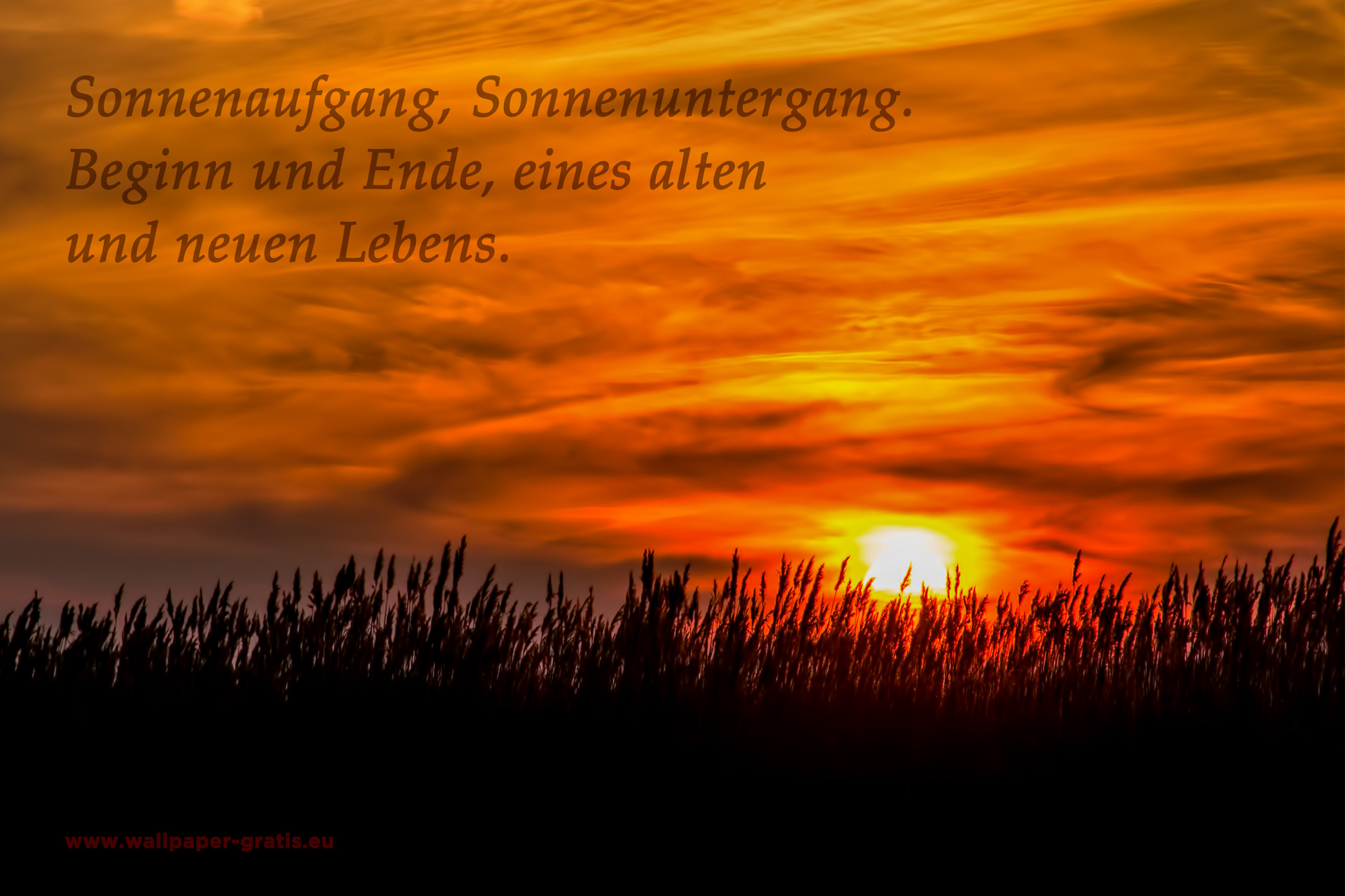 Zitate Sonnenuntergang Kostenlose Bilder