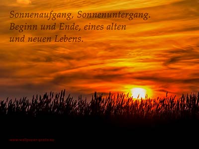 Sonnenaufgang, Sonnenuntergang. Beginn und Ende, eines alten und neuen Lebens