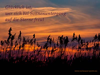 Zitate & Sprüche: Sonnenuntergang