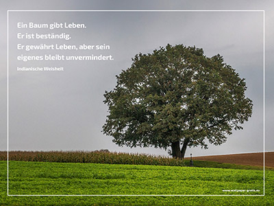 Ein Baum gibt Leben. Er ist beständig. Er gewährt Leben, aber sein eigenes bleibt unvermindert.